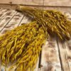 Haver (avena) yellow - Afbeelding 3
