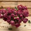 Tros roosjes light pink - Afbeelding 5