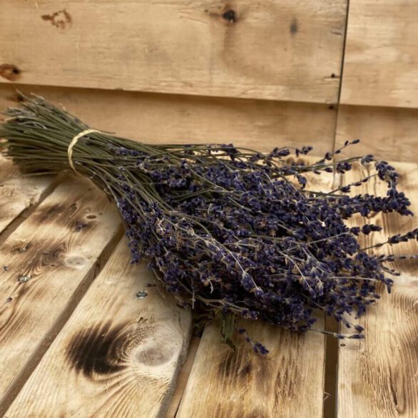 Lavendel naturel (lavender)