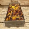 Helichrysum koppen orange 100 gr (gedroogd) - Afbeelding 3
