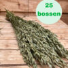Haver(avena) natural green *BULK*