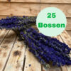 Delphinium natural blue *BULK*