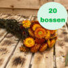 Helichrysum natural orange *BULK*